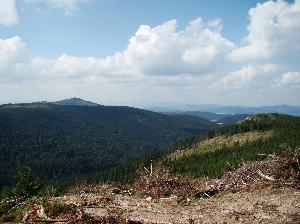 Masyw Śnieżnika