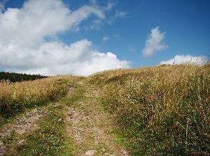 Śnieżnik