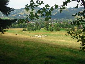 Zakopane