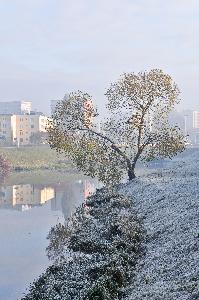 Toruń - staw Kaszownik