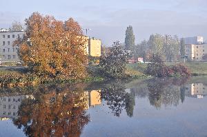 Toruń - staw Kaszownik