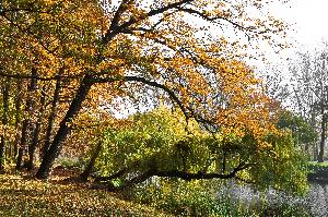 Toruń - park na Bydgoskim Przedmieściu