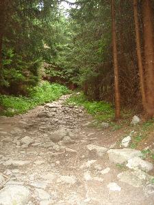 Tatry