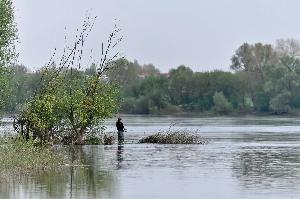 Toruń - nad Wisłą