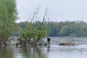 Toruń - nad Wisłą