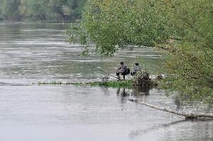 Toruń - nad Wisłą