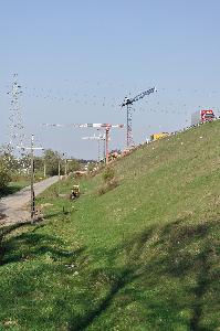 Toruń - budowa mostu autostradowego