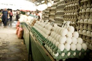 Bazar w Skopje