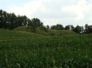 Bobrowo - grodzisko wczesnośredniowieczne