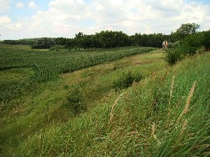 Bobrowo - grodzisko wczesnośredniowieczne