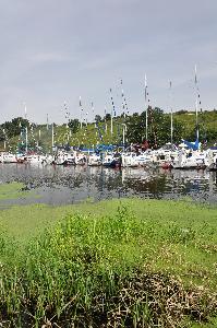 Włocławek - Marina Zarzeczewo