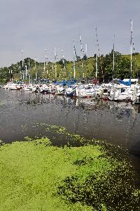 Włocławek - Marina Zarzeczewo