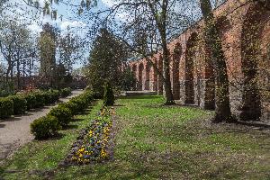 Brodnica - mur obronny