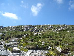 Tatry