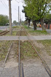 Toruń - budowa mostu drogowego wraz z drogami dojazdowymi