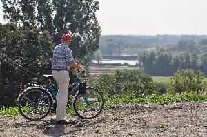 Toruń - budowa mostu drogowego wraz z drogami dojazdowymi