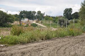 Toruń - budowa mostu drogowego wraz z drogami dojazdowymi