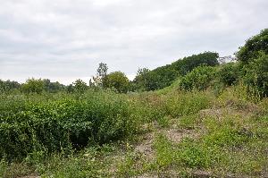 Toruń - budowa mostu drogowego wraz z drogami dojazdowymi