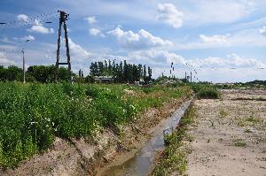 Toruń - budowa mostu drogowego wraz z drogami dojazdowymi