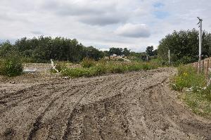 Toruń - budowa mostu drogowego wraz z drogami dojazdowymi