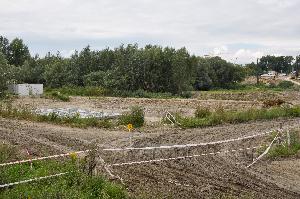 Toruń - budowa mostu drogowego wraz z drogami dojazdowymi