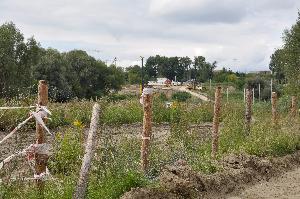 Toruń - budowa mostu drogowego wraz z drogami dojazdowymi