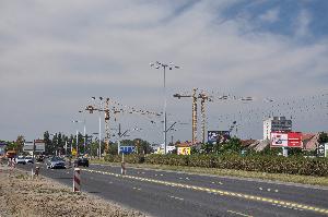 Toruń - budowa mostu drogowego wraz z drogami dojazdowymi