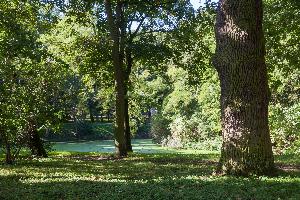 Ryńsk - park dworski