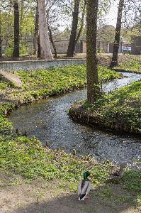 Toruń - Struga Toruńska