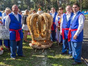 Dożynki wojewódzkie 2014