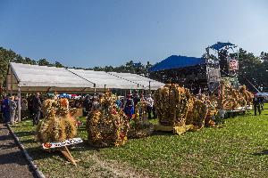 Łabiszyn - dożynki wojewódzkie 2014