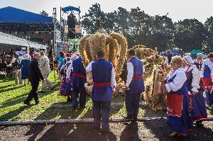 Dożynki wojewódzkie 2014