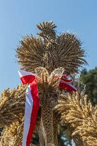 Wieniec dożynkowy