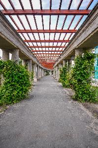 Wrocław - Pergola