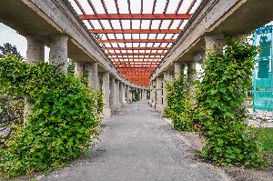 Wrocław - Pergola