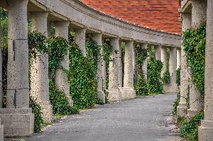 Wrocław - Pergola