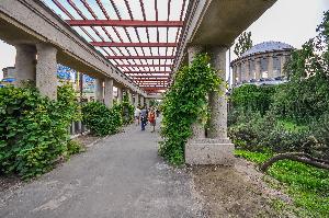 Wrocław - Pergola