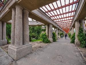 Wrocław - Pergola