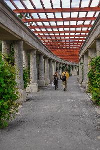 Wrocław - Pergola