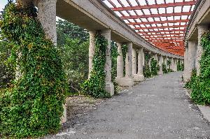 Wrocław - Pergola