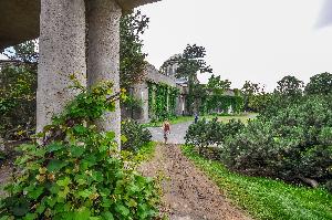 Wrocław - Pergola