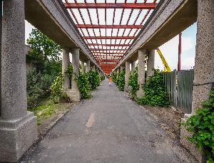 Wrocław - Pergola