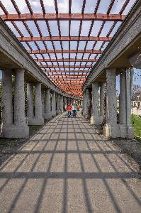 Wrocław - Pergola