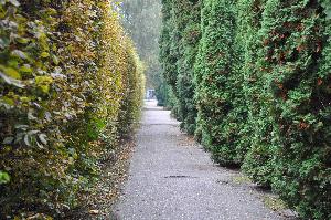 Inowrocław - Park zdrojowy