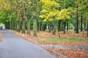 Park zdrojowy