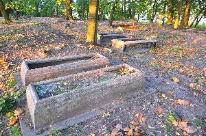 Wielka Nieszawka - cmentarz mennonicki