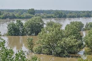 Toruń - powódź w maju i czerwcu 2010 r.