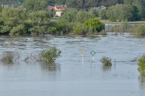 Toruń - powódź w maju i czerwcu 2010 r.