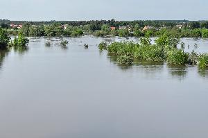 Toruń - powódź w maju i czerwcu 2010 r.