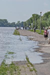 Toruń - powódź w maju i czerwcu 2010 r.